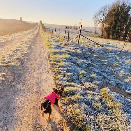 Prázdninový dům Le Petit Hameau Boffles